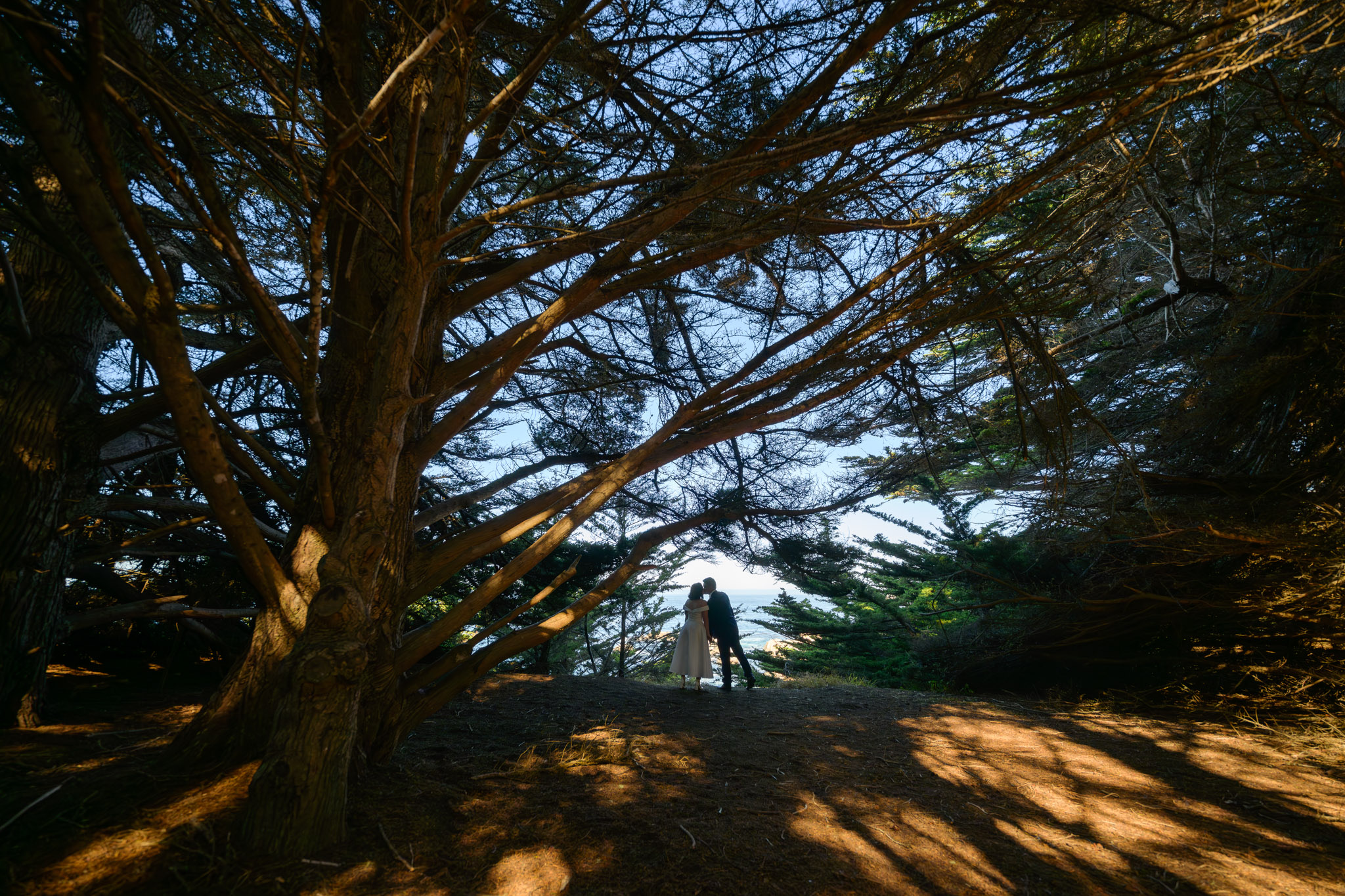 Brian and Bia engagement photo
